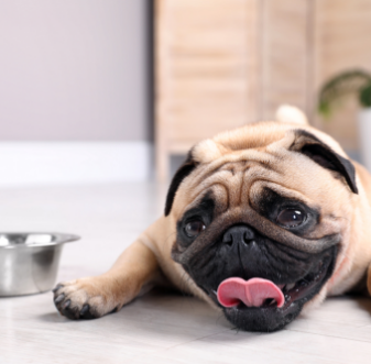 Emergency Plumbing Services