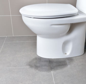 Toilet with water pooling on the bathroom floor