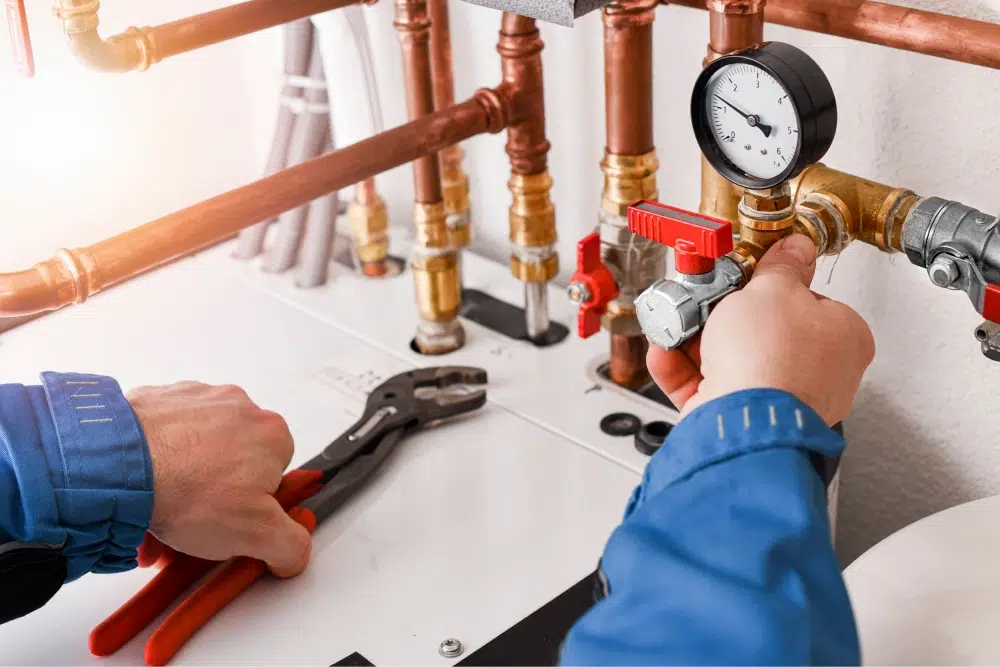 Whole-Home Plumbing Inspections