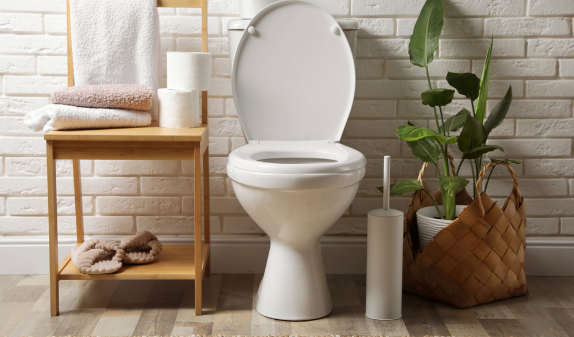White toilet in a bright bathroom with plants