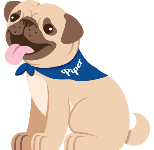 Plumber in St. Petersburg, FL