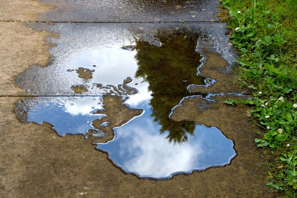 Puddle of water on a concrete walkway beside a lawn