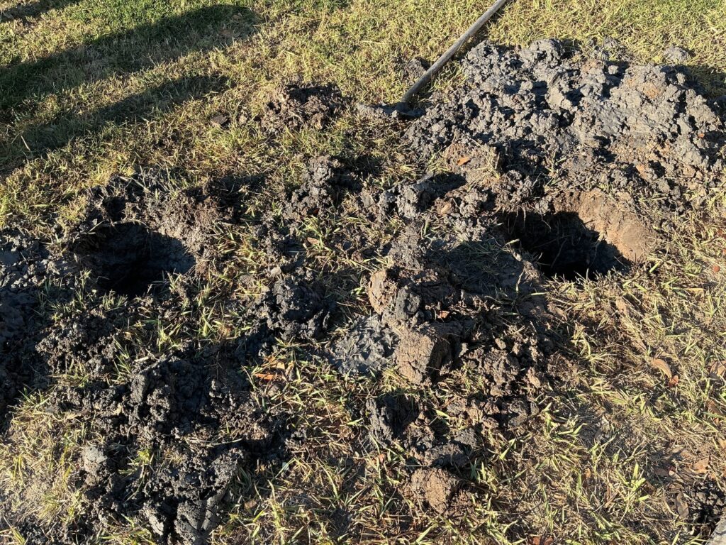 Close-up of loose dug-up soil on a grass lawn